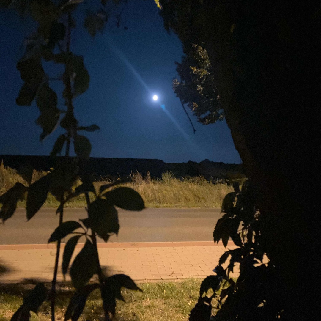30z R Us Stream September Moon Ride by Surfers like Us | Listen online for free ...
