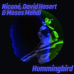 Hummingbird (Paons Remix)