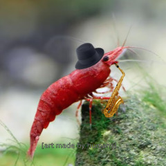 shrimp jazz (hardgroove mix) 140-150bpm