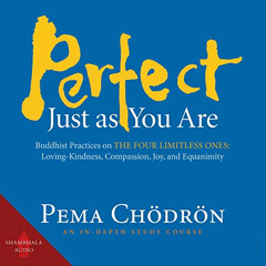[ACCESS] KINDLE 📍 Perfect Just as You Are: Buddhist Practices on the Four Limitless