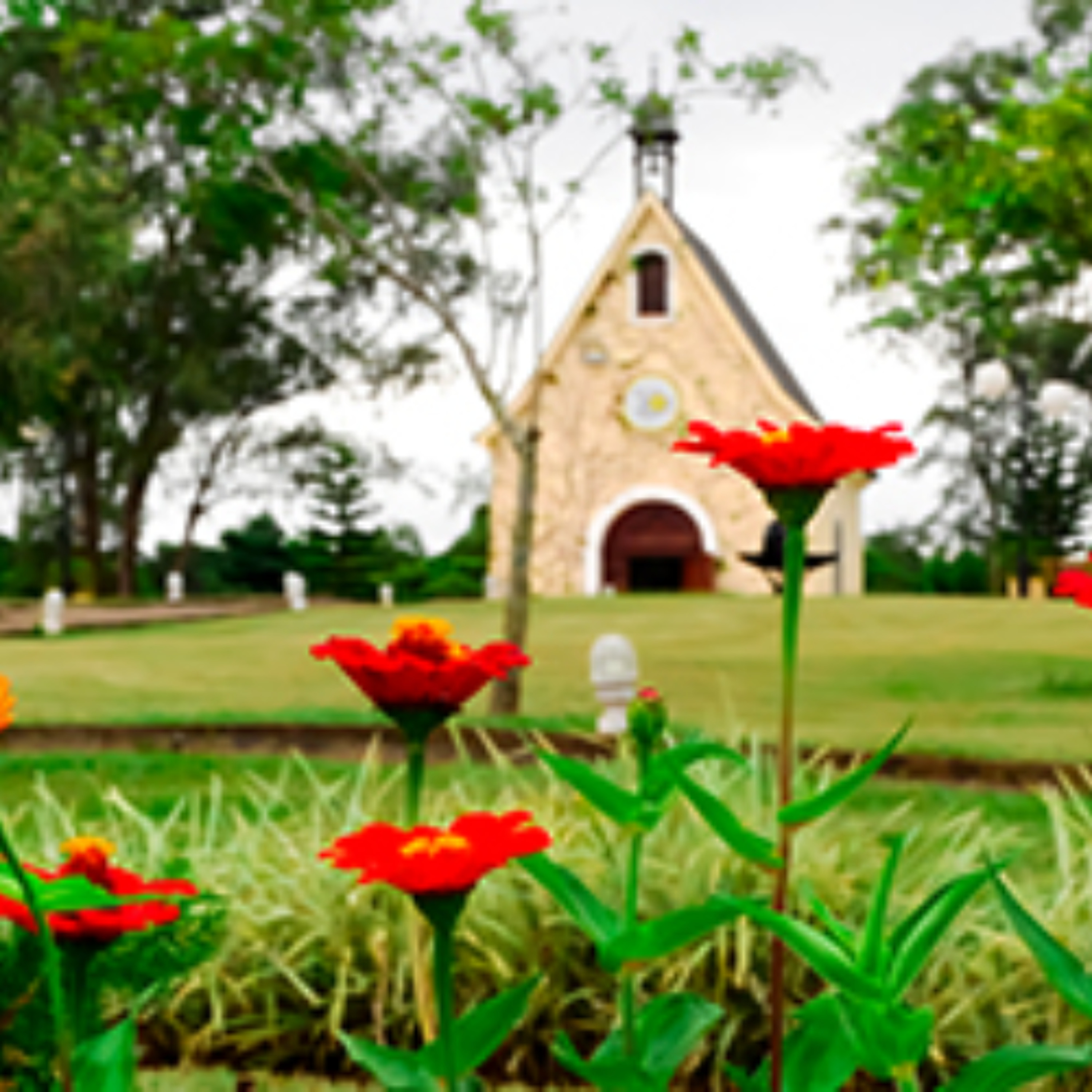 Programa Santuário Vivo 25-04-2026