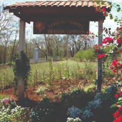 10.11.2025 - Cap. XXIV - Não Coloqueis a Candeia Sob o Alqueire - Os Sãos Não Precisam de Médicos (22)