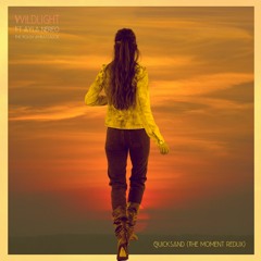 Wildlight feat. Ayla Nereo & The Polish Ambassador - Quicksand (The Moment Redux)