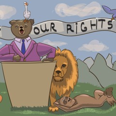 Human Rights Versus Nature and Animals Rights?