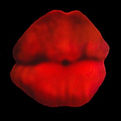 Lips to find you