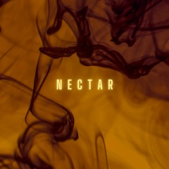 Noizesplitter - Nectar [Free Download]