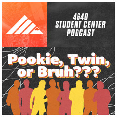 Pookie, Twin, or Bruh???