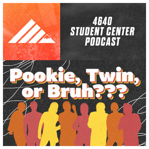 Pookie, Twin, or Bruh???