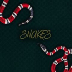 Snakes (prod. Pilgrim)
