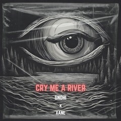 Justin Timberlake - Cry Me A River - GNDHI Remix (Ft.XANE)