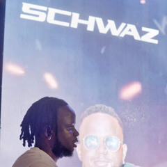 Dj Schwaz Road Trip Essentials 7 | Dancehall X Rnb X Urban Vibez