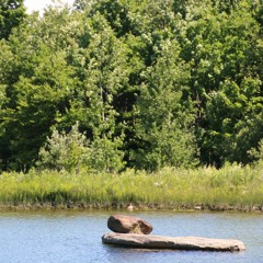 How Not To Sleep Through Life - Q&A with Soryu Forall