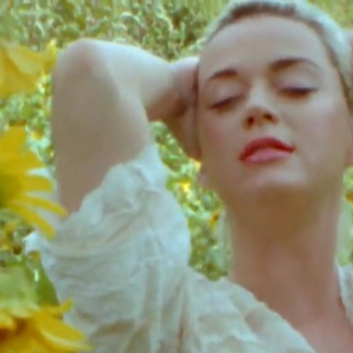 Stream Daisies by Katy Perry (Cover) by Powie Listen online for free