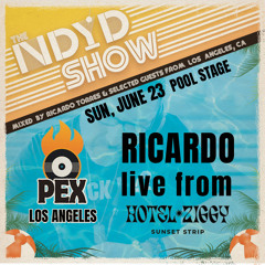 The NDYD Radio Show  EP346 - Ricardo live from PEX Los Angeles 2024