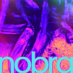 Nobra 002 The Disaster Artist! 野马来了! 尽情粗糙! 尽兴自洽! Why not be Your RAW SELF?! 做最原始的自己! Let’s DO it!~