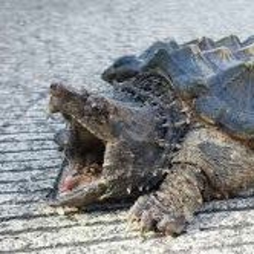 Do It Again Better by Void | Free Listening on SoundCloud