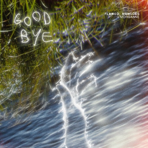 Flawed Mangoes & Morganne - Goodbye