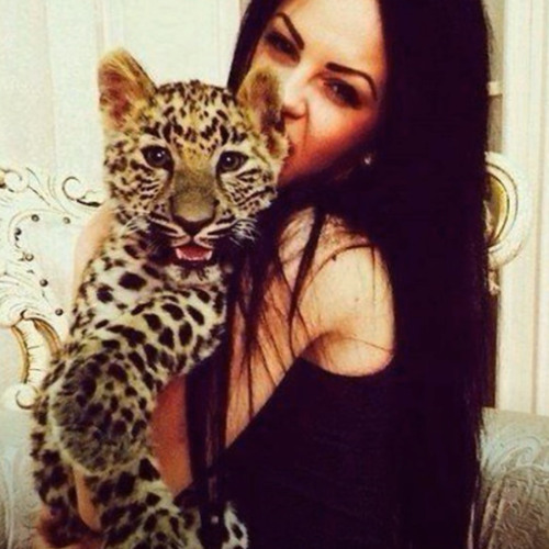 fancy by 2muchmotion