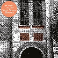 Loco Dice - Sweet Nectar Blossom