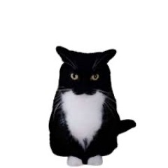 imightfuckyobitchinyohouse lol.wav