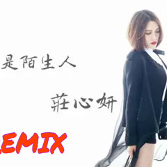 再见还是陌生人 Goodbye Only Stranger remix