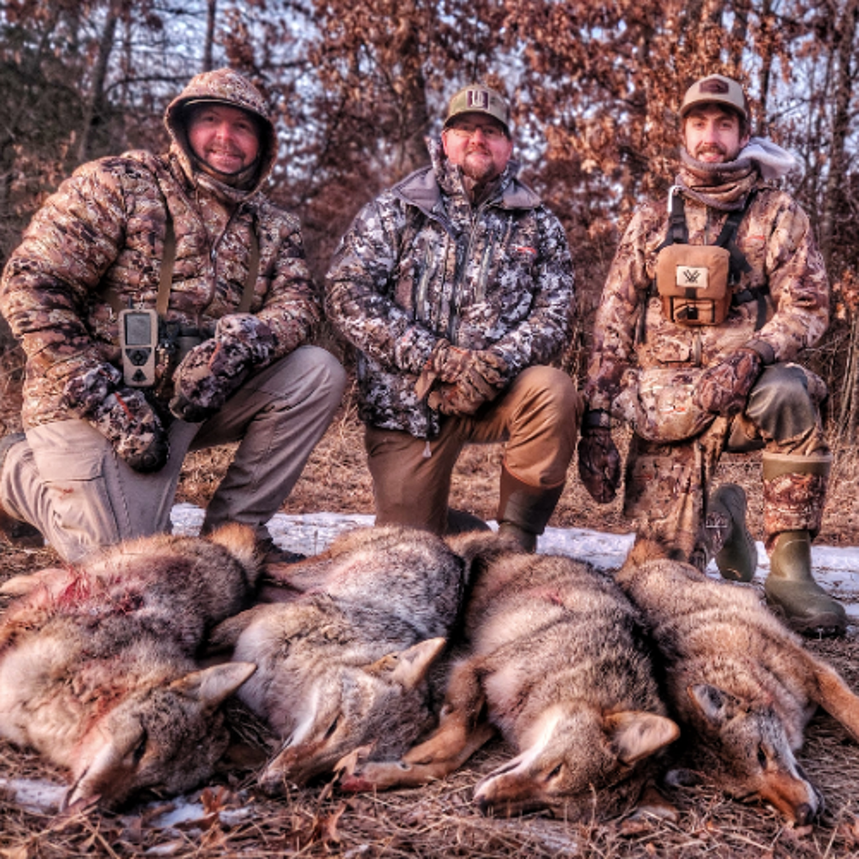 Predator Pros Episode 85: Coyote Hunting East of the Mississippi with Luke Thompson episode artwork