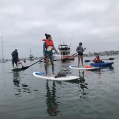 Paddle Boarding Edition Newport Beach