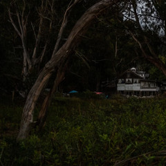 My front yard, after a thunderstorm