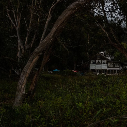 My front yard, after a thunderstorm