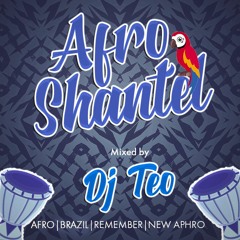 AFRO SHANTEL - MIXED BY DJ TEO VOL.1