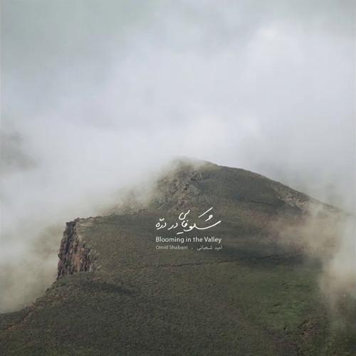 Blooming in the Valley Omid Shabani
