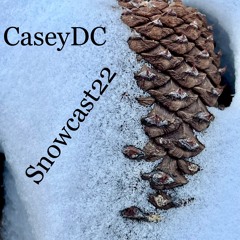 Snowcast22