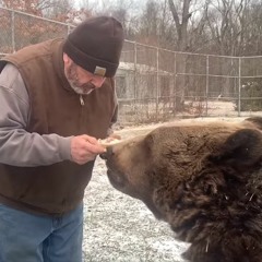 I Fed The Bear