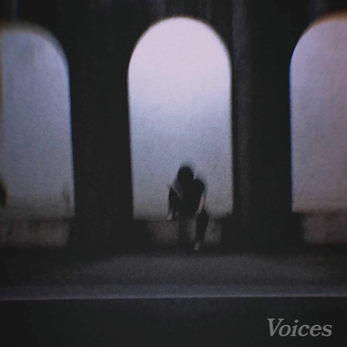 Voices (Prod. x10derrick)