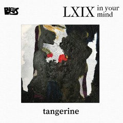 LXIX - tangerine