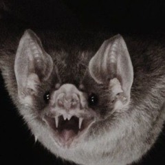 fly like a bat ft. darkioo