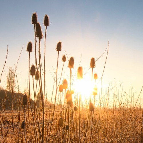 ¿Aún escuchas mi voz?