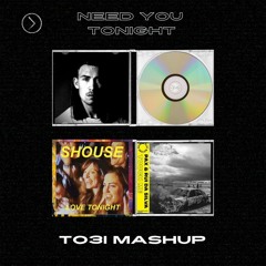Shouse VS PAX & Rui Da Silva - Need You Tonight (TO3I MashUp)
