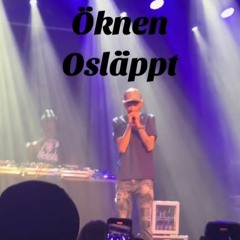 VC Barre - Öknen (HELA LIVE OSLÄPPT)