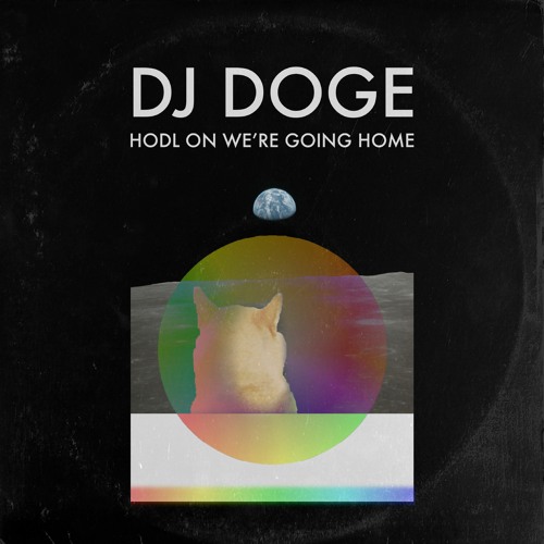 DJ DOGE - HODL ON WERE GOING HOME (LEAKED 2021)