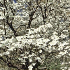 Increasing Entropy 038 - Incoming Spring [Mar 2021]