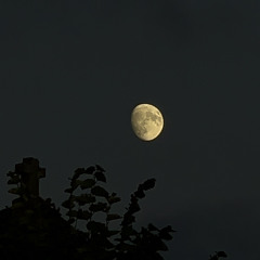 SO LA LUNE 🌙