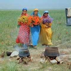NTS Sounds on Screen: Iranian Cinema 061020