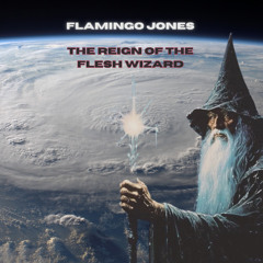 The Reign of the Synthetic Flesh Wizard