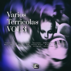 Sabina Müller - 2 Days (cut) Varios Terricolas VOL.3 [Interplanetare Lab]