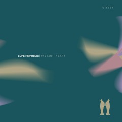 Lupe Republic - Strange Heart [Or Two Strangers]