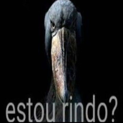 38 MINUTINHOS DE UMAS MUSICAS SALVAS AQUI KKKKKKKKKKK GRAVE BAIXO🙏🏿