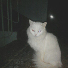 Pills 2 (Percocets Pt.3)