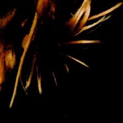 att skiljas är att nästan dö