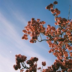 Spring Mix (Deephouse / Electronic / Melodic)